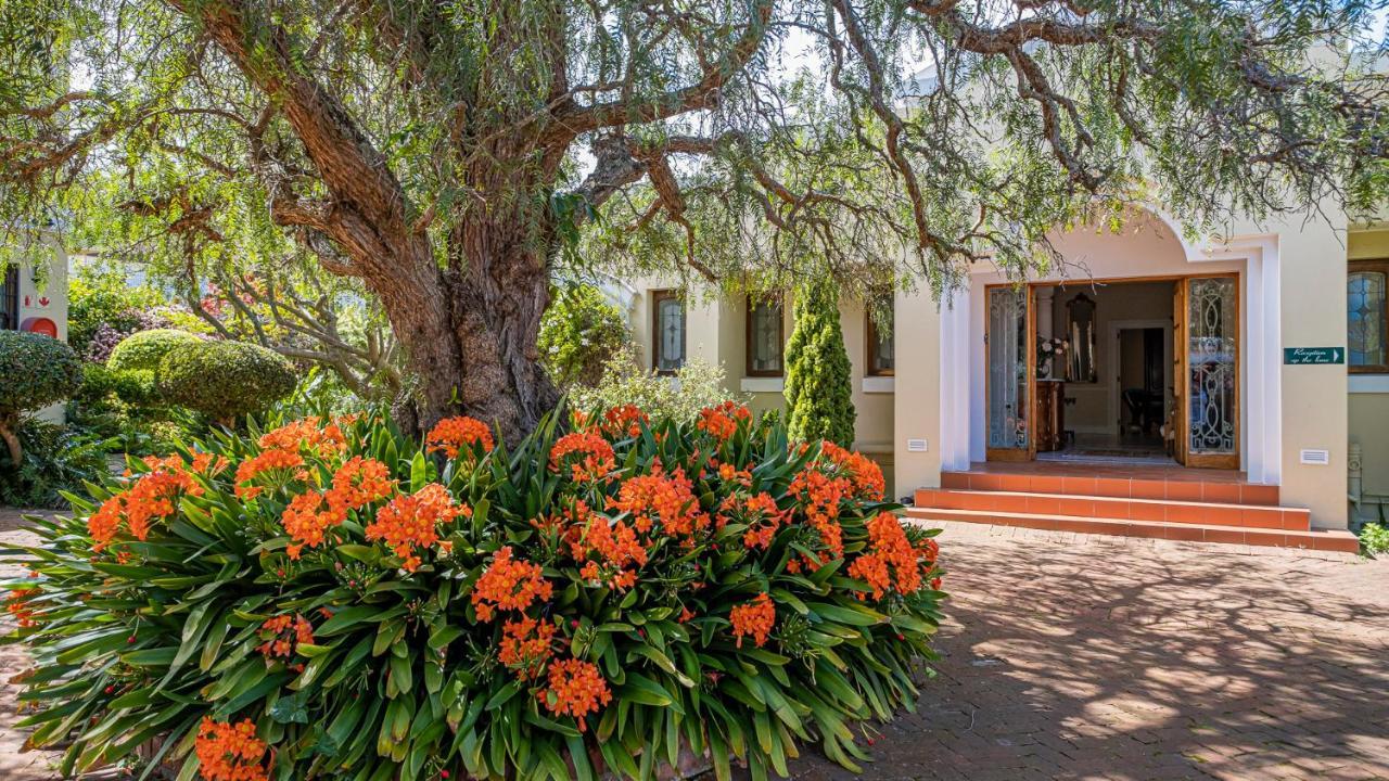 Lemon Tree Lane Port Elizabeth Exterior foto